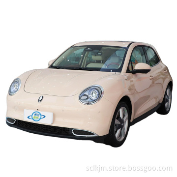 2022 new energy electric vehicle Euler Good Cat Morandi version 400km standard endurance lithium iron phosphate battery spot sal